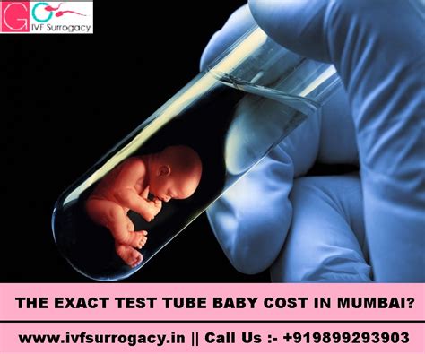 test tube baby package|test tube baby cost in india.